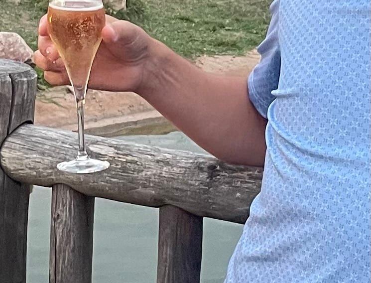 Profil von Haron