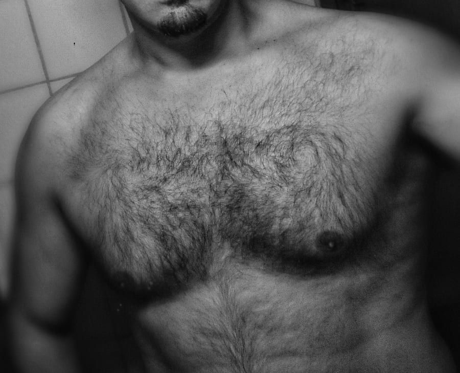 Profil von Timour